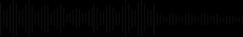 Audio Soundwave